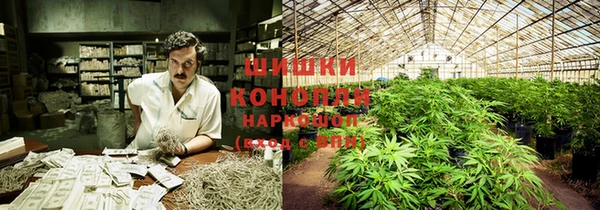 прущая мука Новодвинск