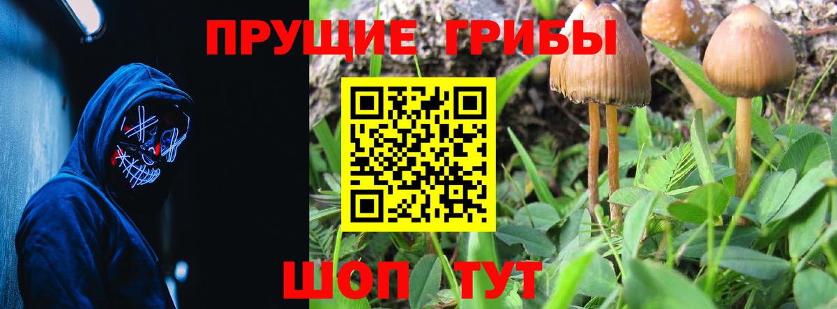 как найти закладки  Псилоцибиновые грибы MAGIC MUSHROOMS  Вход с VPN  Краснокамск 